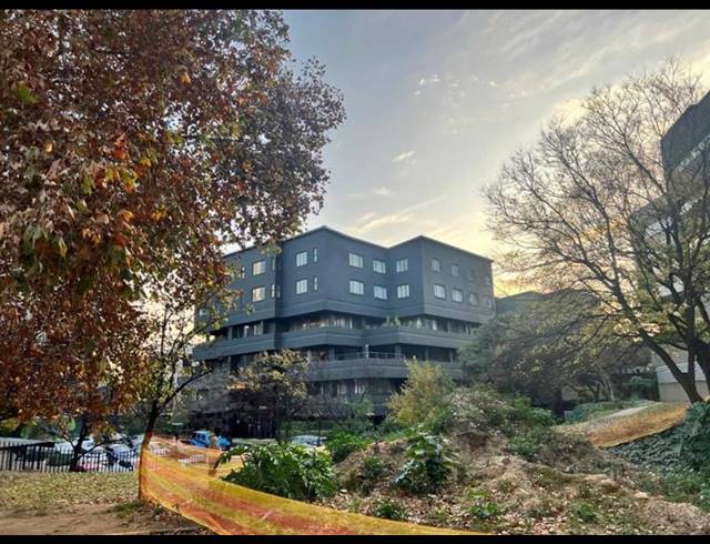 0 BEDROOM PROPERTY TO RENT IN SANDTON CITY